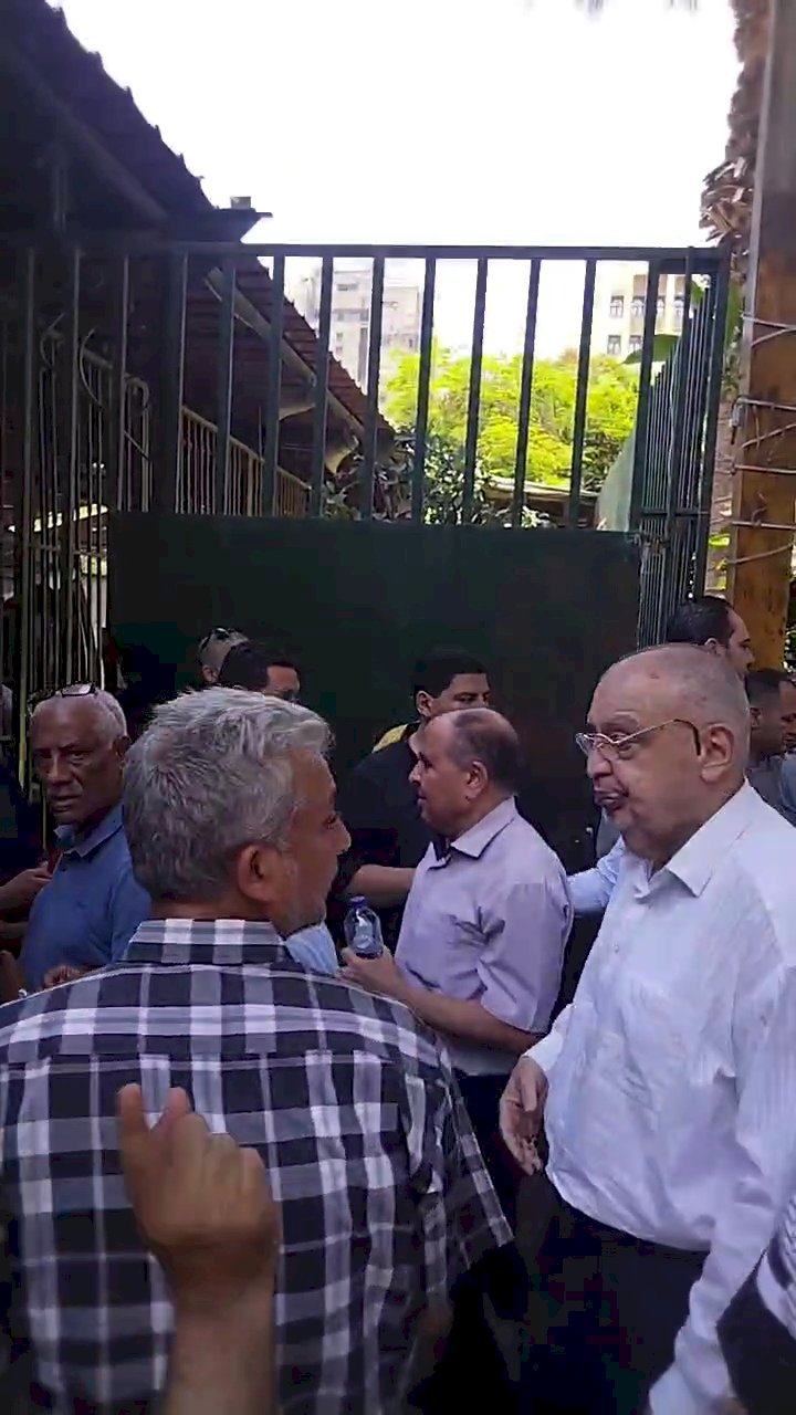 عاصم حنفي وداعا