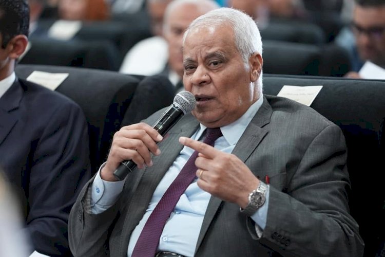 نائب رئيس حزب مصر القومي يطالب بتفرغ اعضاء المجالس النيابية