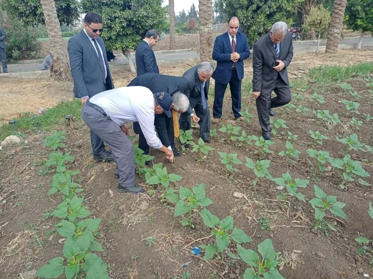 طفرة في المزارع البحثية والإرشادية بمركز البحوث الزراعية