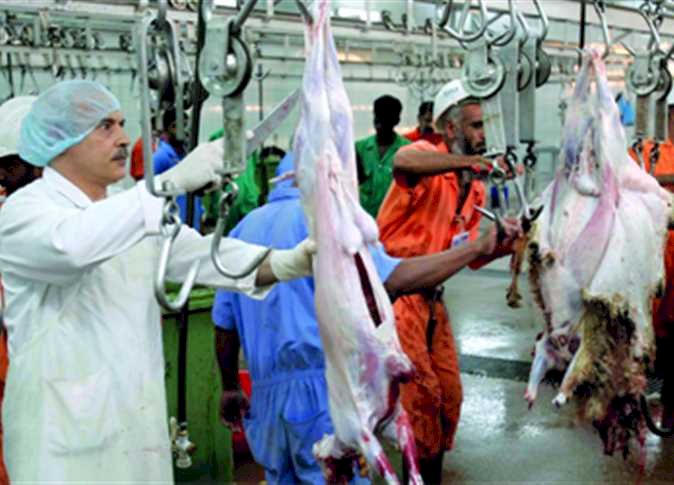 تعقيم ٣٩ مجزرًا في المنيا لاستقبال عيد الأضحى