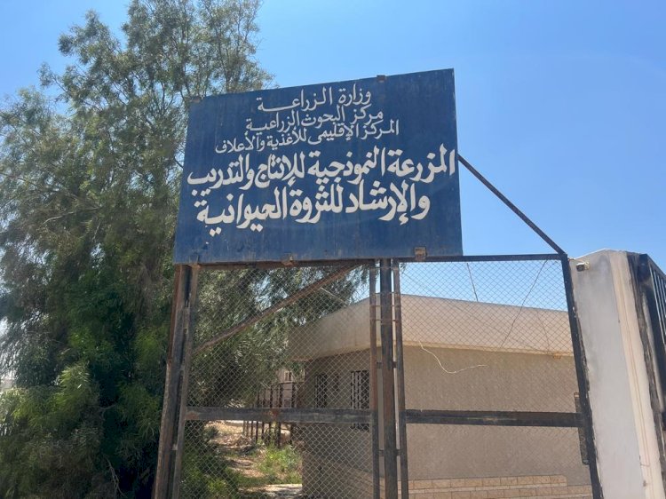 مستشار وزير الزراعة يتفقد المحطة البحثية في جنوب التحرير ومزارع الإنتاج الحيواني والنباتي