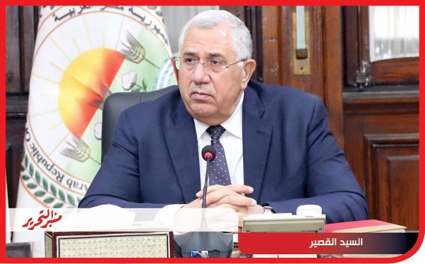 القصير: لأول مرة صادرات الموالح تصل لمليون و900 ألف طن