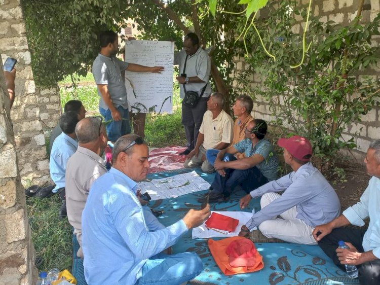 الزراعة والفاو  ينفذان البرنامج التدريبي لتدريب مدربين لميسري مدارس المزارعين الحقلية بمحافظات الوجة القبلي والبحري