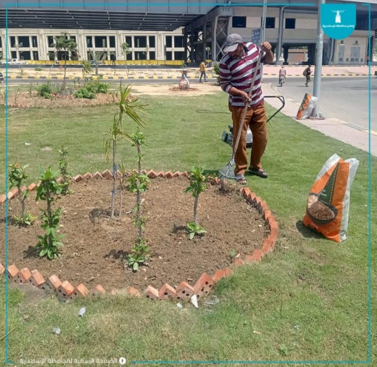 الاسكندرية تتزين لاستقبال اول ايام العيد