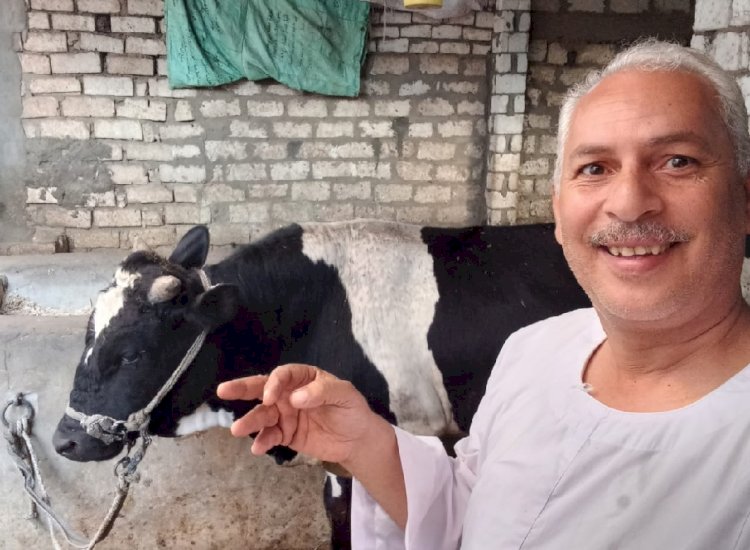 نقيب الفلاحين: يكشف أسباب الأحجام عن شراء الاضاحي