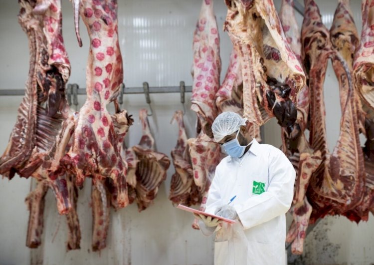 مصر الخير و12 جمعية أهلية يقدمون لحوم 22 رأس ماشية لأهالى مركز ديرمواس بالمنيا