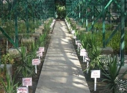 في نقاط سريعة ..جهود تطوير القطاع البيئي في مصر خلال ٩ سنوات