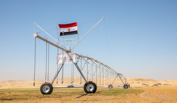 من محور للتنمية.. لمركز إقليمي لوجيستي صناعي على ضفتي القناة