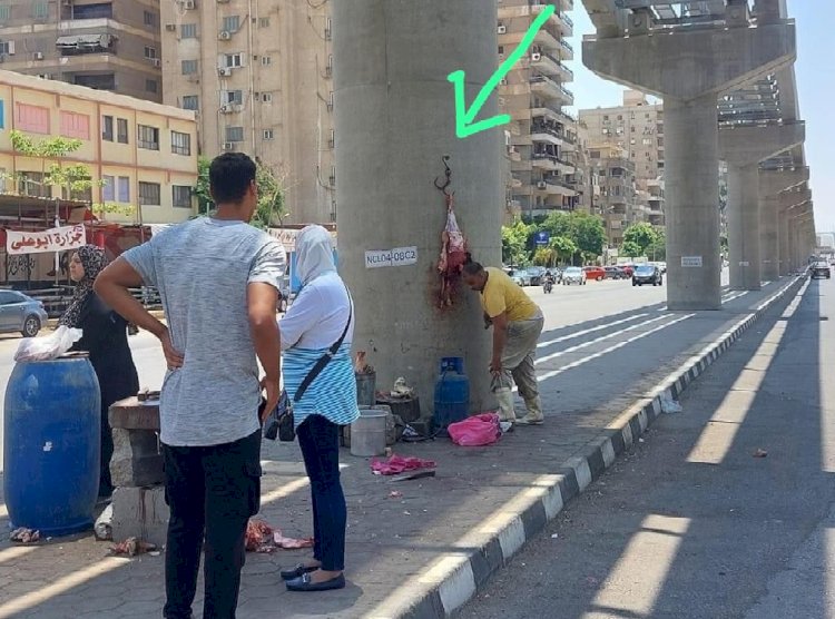 وزارة النقل تستنكر ما قام به احد الجزارين