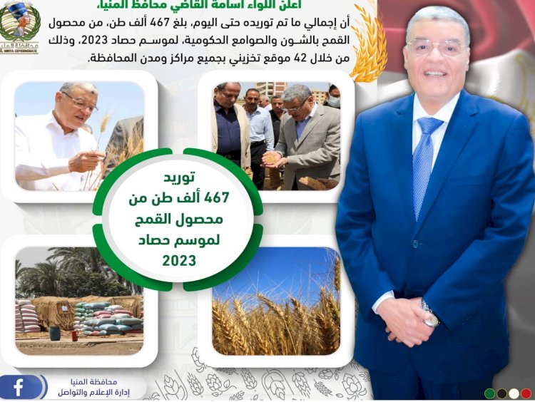 شون وصوامع المنيا تستقبل 467 ألف طن من القمح بجميع المراكز