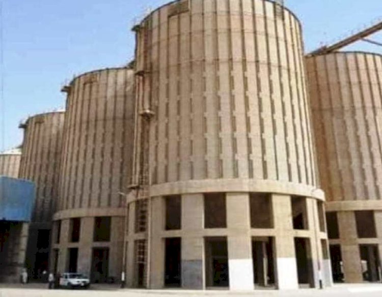 محافظ المنيا: شون وصوامع المحافظة تستقبل 282 ألف طن من القمح ضمن موسم توريد 2025