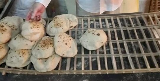 تموين المنيا تحرر72 محضر للمخابز البلدية