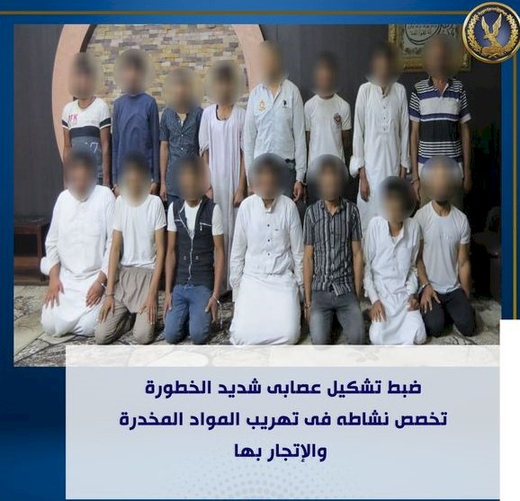 ضبط 17 عنصر وبحوزتهم مخدرات بـ 145 مليون جنيه