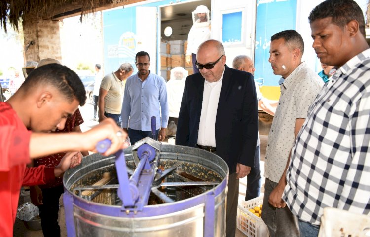 الداودي يشهد أول قطفة عسل نحل بمشروعات الأمن الغذائي 