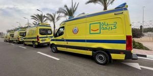 إصابة 15 شخصا في انقلاب سيارة بصحراوي المنيا