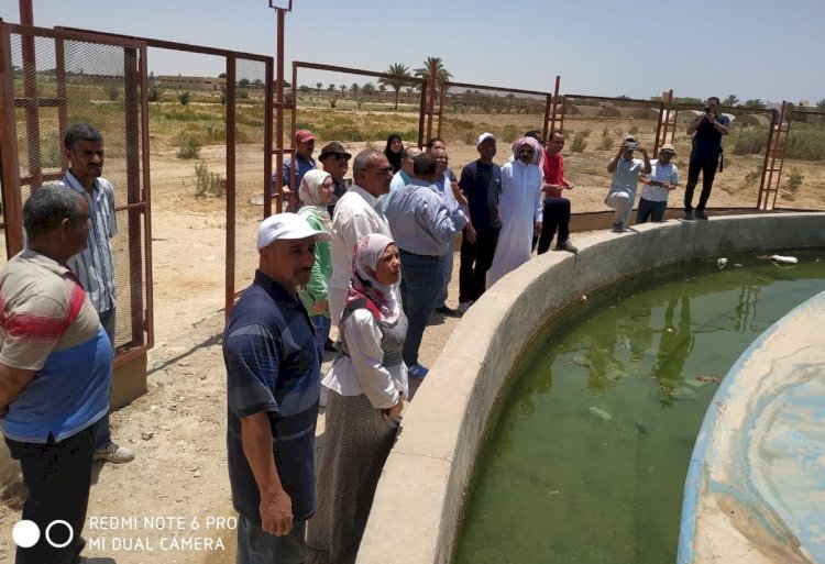 تحسين سبل العيش المستدام لأهالي سيناء