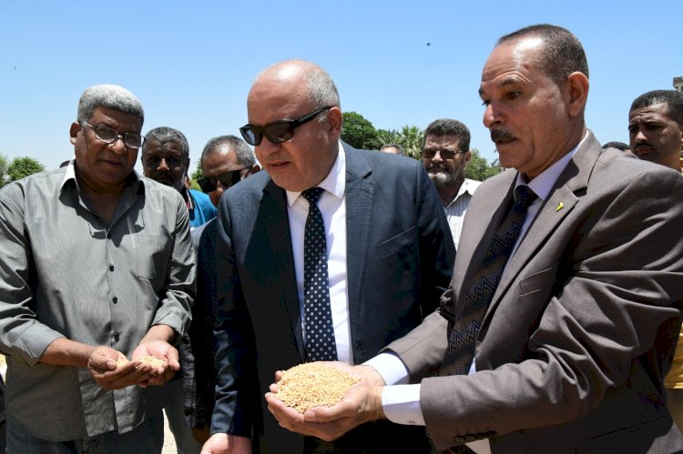 الداودي يتابع توريد محصول القمح في قنا 