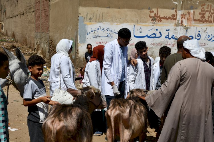 "طب بيطري سوهاج" تنظم قافلة مجانية لقرية الأحايوة وتناظر ٢٤٢ حالة مرضية