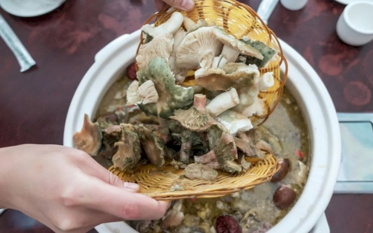 وزيرة الخزانة الامريكية أكلت فطرا في الصين فأصبح الطعم اشهر من نار علي علم