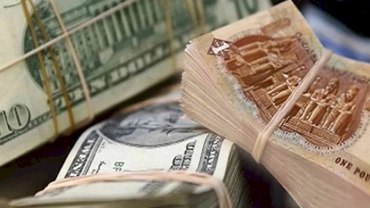 استقرار اسعار الدولار واليورو في البنوك الحكومية والخاصة اليوم الاربعاء