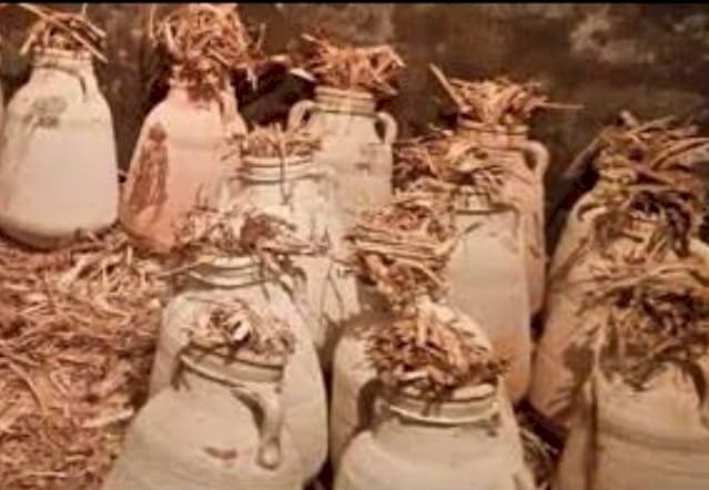 حكاية مثل: "سلقط ملقط"