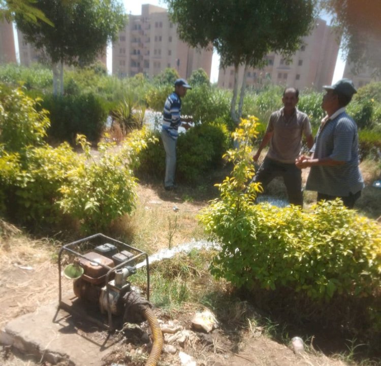 ضمن مبادرة 100 مليون شجرة.. زراعة أشجار مثمرة وأخرى للزينة بمركزين بالمنيا