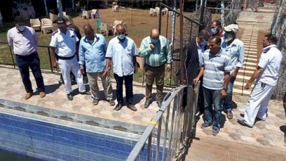 تشميع حمام سباحة بدون ترخيص بالمنيا