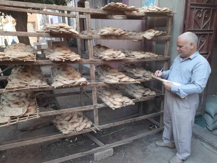 79 مخالفة تموينية في مركزين بالمنيا