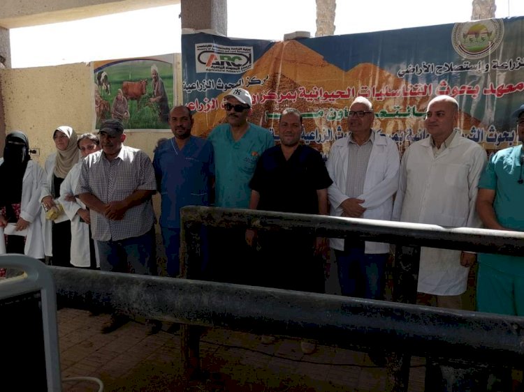 قافلة بيطرية مجانية بقري القليوبية