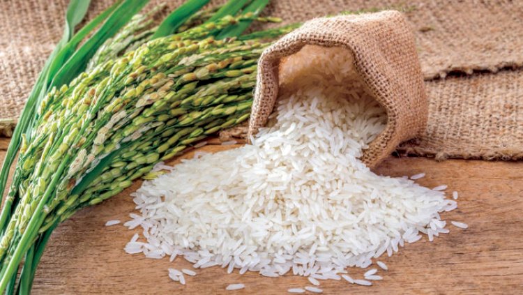 لضبط أسعاره.. التموين تحدد ضوابط تداول الأرز الحر