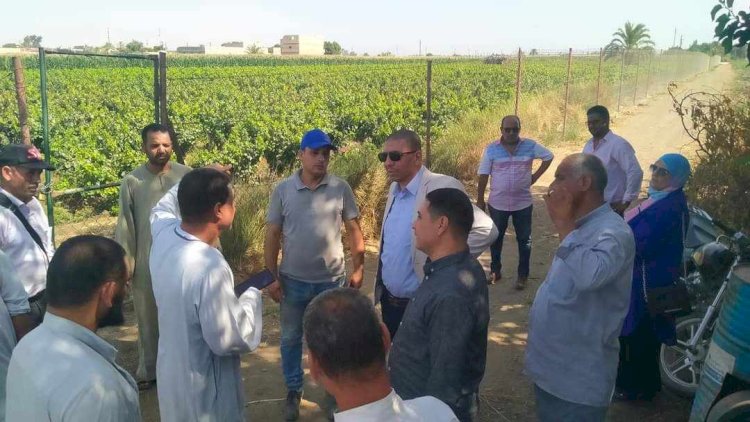 رئيس مركز سمالوط يتفقد مشروعات حياة كريمة