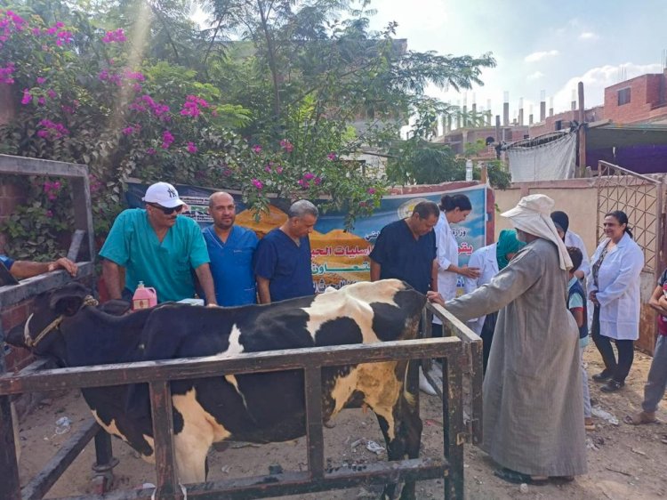 الزراعة تطلق قافلة بيطرية لعلاج مواشي المزارعين بالوادي الجديد