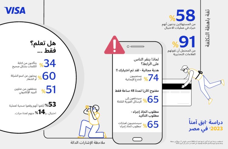 في أحدث دراساتها "ابق آمنًا".. فيزا:  ٩١٪ من المستخدمين المصريين عرضة لعمليات الاحتيال الإلكتروني