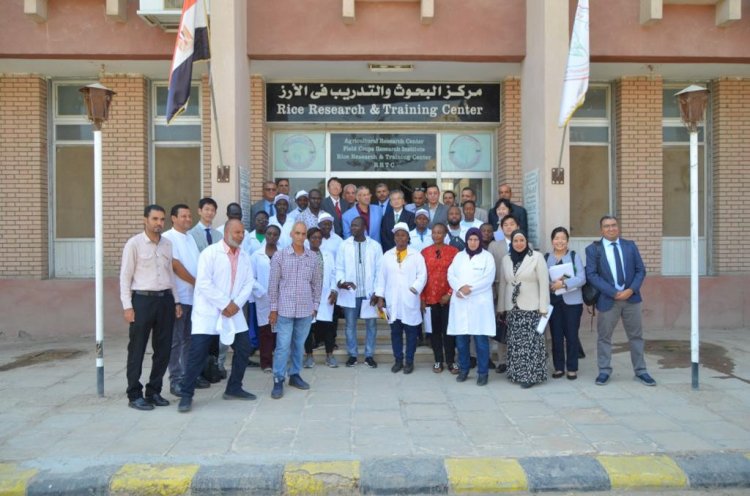 سفير اليابان يزور برنامج الارز المصري