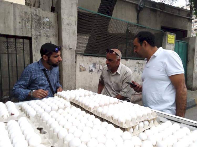 الزراعة تطلق ١٠ منافذ لبيع بيض المائدة باسعار مخفضة للمواطنين