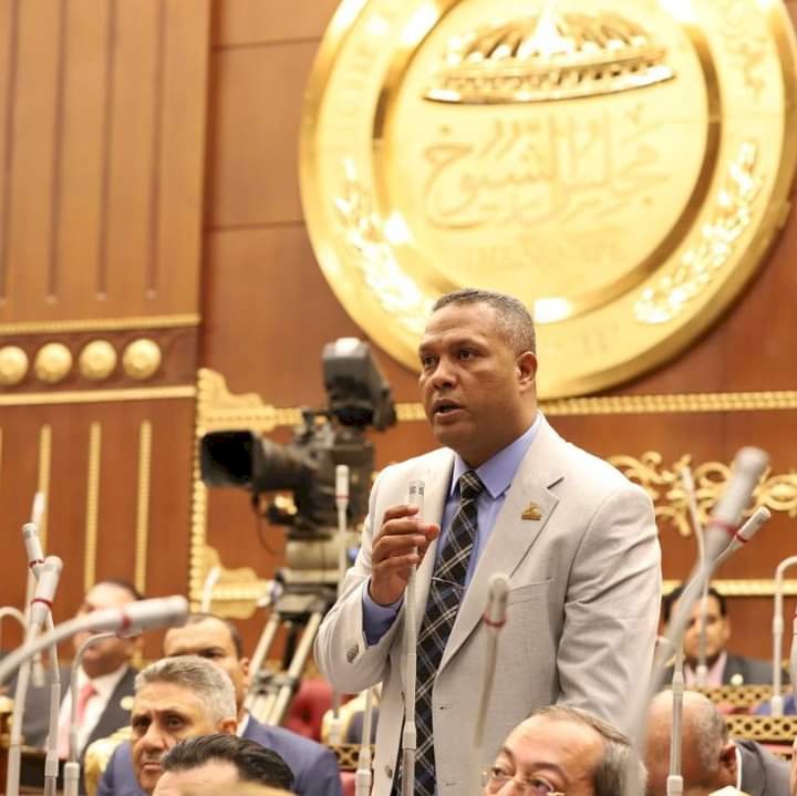 النائب محمد حمزه يشيد بقرارات الرئيس لمواجهة التحديات الاقتصادية