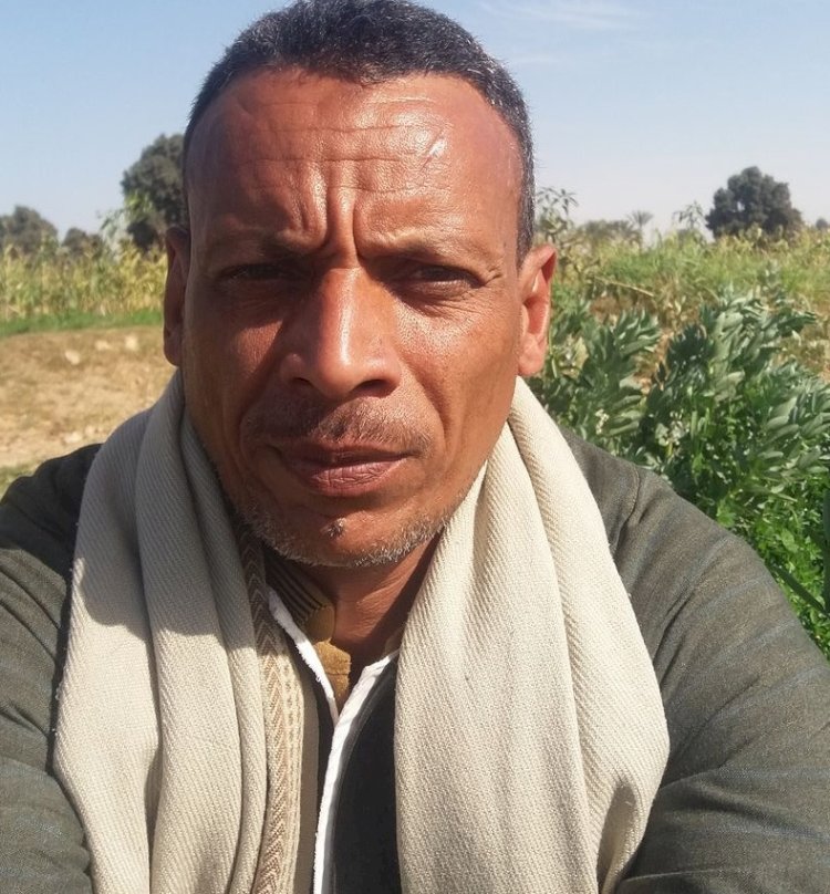 عجين أمي