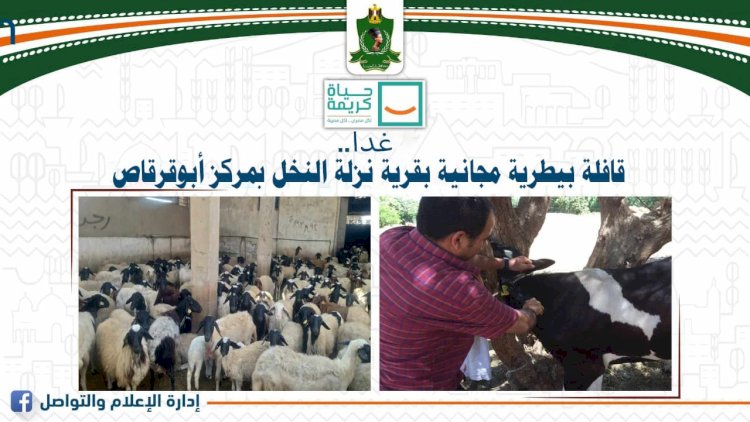 غدا .. قافلة بيطرية مجانية بقرية نزلة النخل بمركز أبوقرقاص بالمنيا