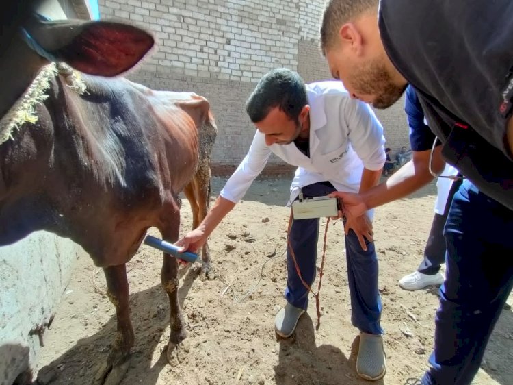 وزير الزراعة قوافل الخير البيطرية بالتعاون مع حزب مستقبل وطن بمحافظتي الدقهلية وبني سويف