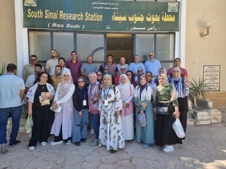بحوث الصحراء ينظم المدرسة الصيفية عن مصادر المياه بجنوب سيناء