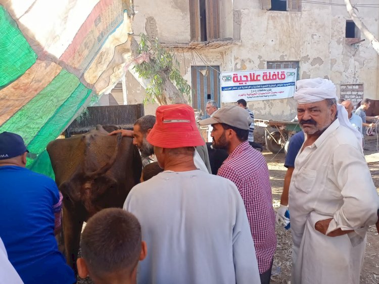 قافلة بيطرية لعلاج مواشي صغار المربين بكفر الشيخ