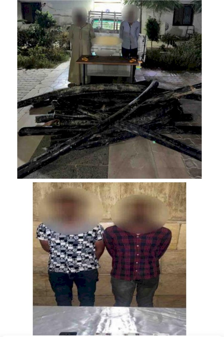 ضبط حرامية الكابلات الكهربائية وحقائب السيدات بالقاهرة