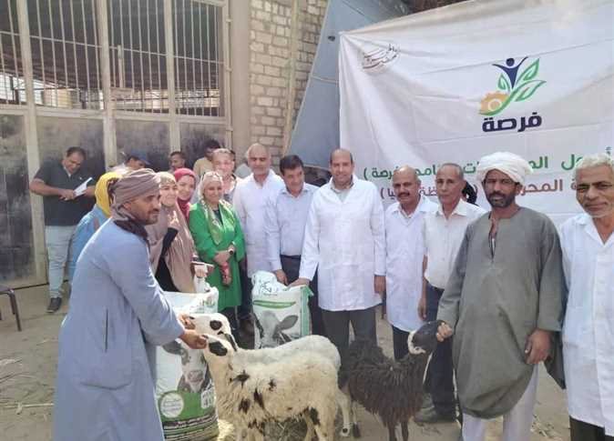 تسليم "٣٤٢"رأس اغنام لاسر ضمن برنامج "فرصة" بالمنيا