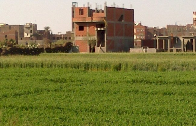 السجن عامين لمقاول وتغريمه 500 ألف جنيه لبنائه على أرض زراعية بالبرلس