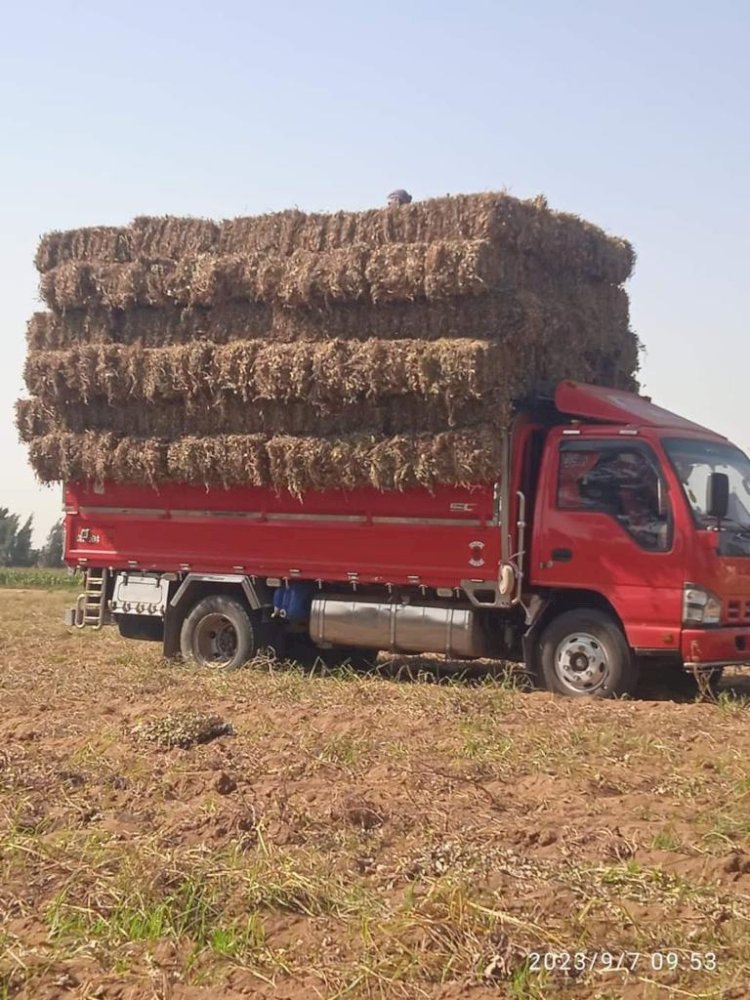 المزارعون يحرصون علي الاستفادة من منظومة تدوير قش الارز