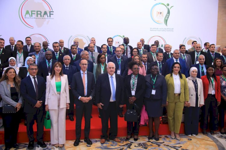 أشرف الجزايرلي : إفريقيا غنية بمواردها وتجربة مصر رائده