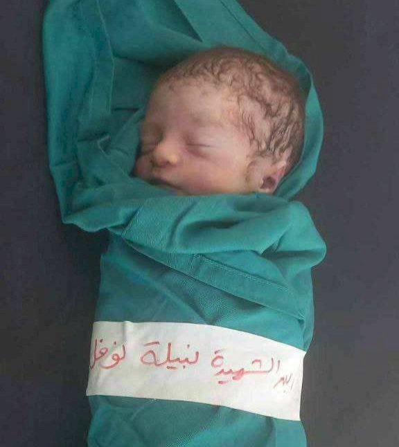 التحقيق مع أي صحفي يدعم غزة في بي بي سي والجارديان