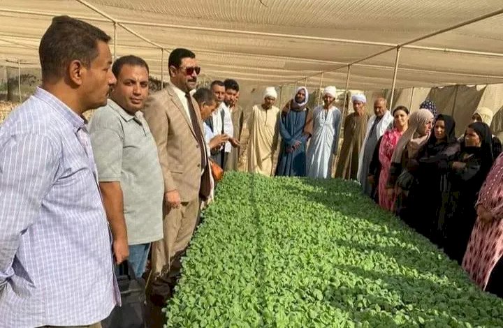 الفاو تقدم خدمات إرشادية لـ325 مزارعا بالمنيا
