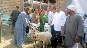 محافظ المنيا: "فرصة "من برامج الحماية الاجتماعية الرائدة في دعم الفئات الأكثر احتياجا