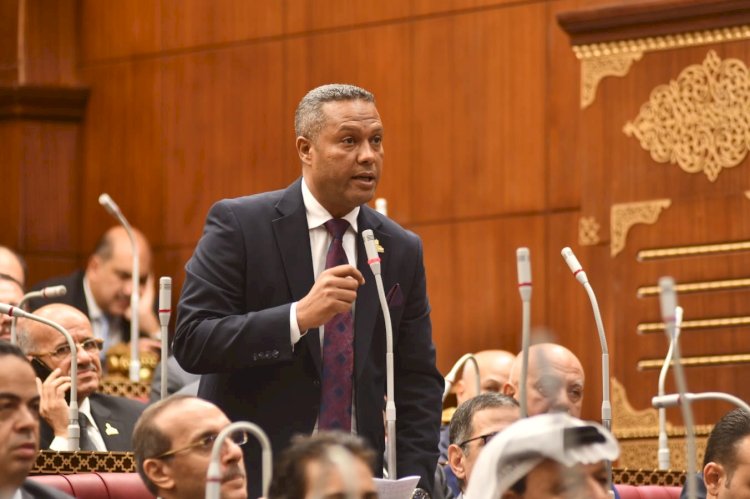 النائب محمد حمزة يطالب بتحرير أسعار السماد